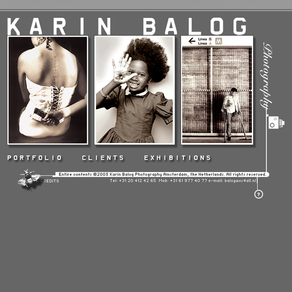 Karin Balog website